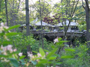 Mushroom House Perinton NY